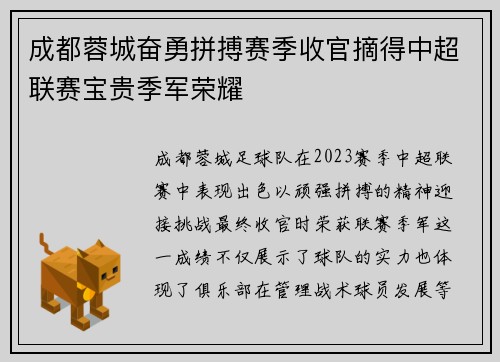 成都蓉城奋勇拼搏赛季收官摘得中超联赛宝贵季军荣耀